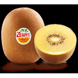 KIWI JAUNE SUNGOLD ZESPRI CAL42 75PCS